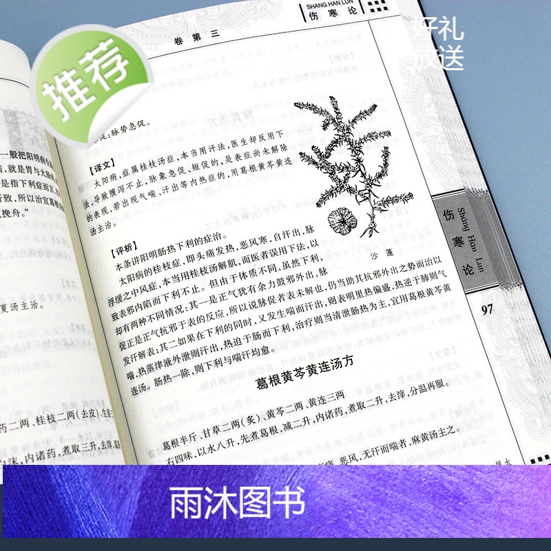 伤寒论 张仲景 正版 古代医学经典 图文国学典藏版伤寒论讲义校注 外感热病治疗规律伤寒杂病论张仲景倪海厦中医医学书籍高清大图