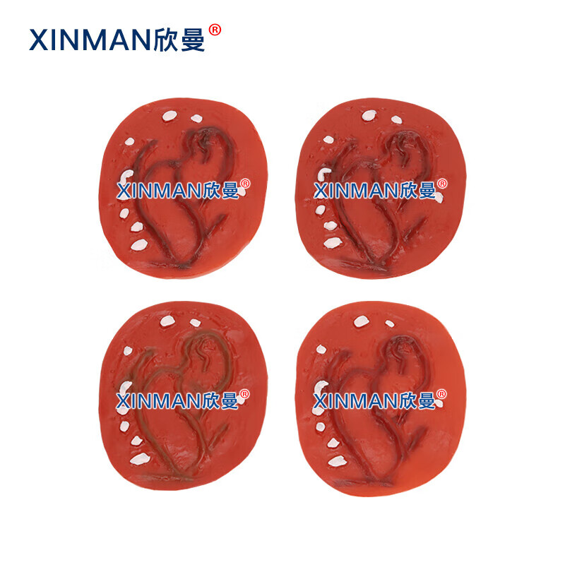 欣曼科教 创伤护理评估模块 伤情呈现模拟器材 34部件战创伤伤情模块组件 伤情呈现 伤情识别 XM-SQ34高清大图
