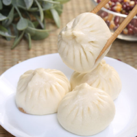 祐康面点师傅鲜肉包420g