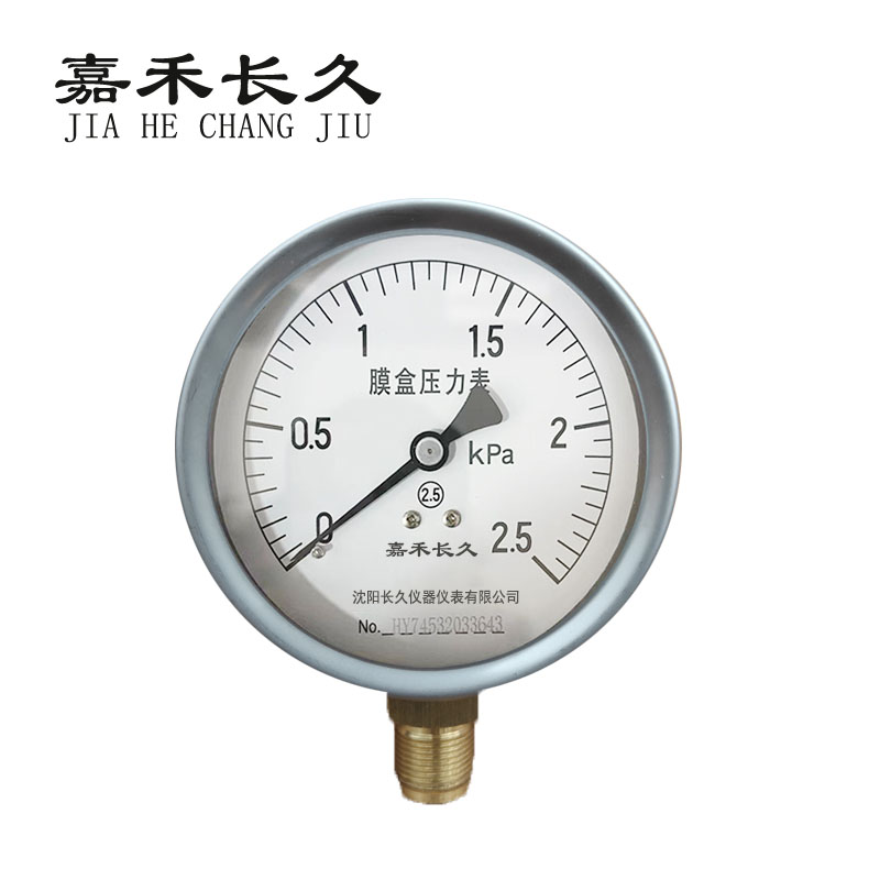 嘉禾长久 膜盒压力表 检测型 YE100 块高清大图
