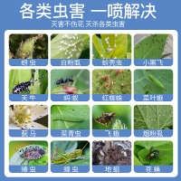杀虫药花卉植物杀虫剂花草蚜虫月季花病虫害室内花喷雾除虫剂500mlx2瓶
