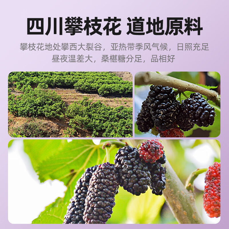 杞里香 紫罐甄选桑葚干 200g高清大图