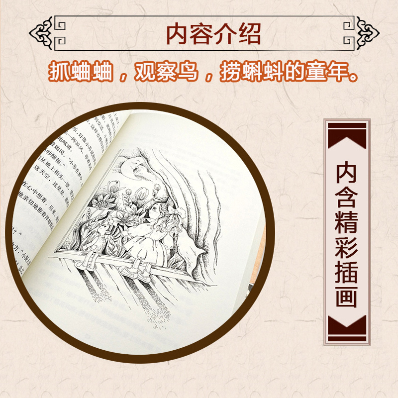 [正版]孙悟空在我们村里全集100年百年百部中国儿童文学经典书郭风中国儿童文学的三年级四年级课外阅读籍长江少年儿童出版