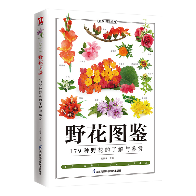 [正版]野花图鉴野花图鉴野花的基本知识从生活形态植物形态别名图片介绍野花的外形及特点从根本上认识野花自然科普图鉴百科书籍高清大图