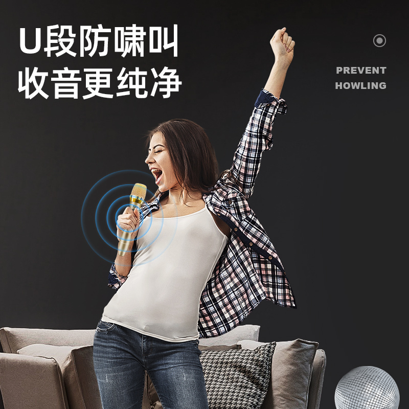 索爱专业麦克风家用电视唱歌K歌卡拉OK MD1.（单咪）