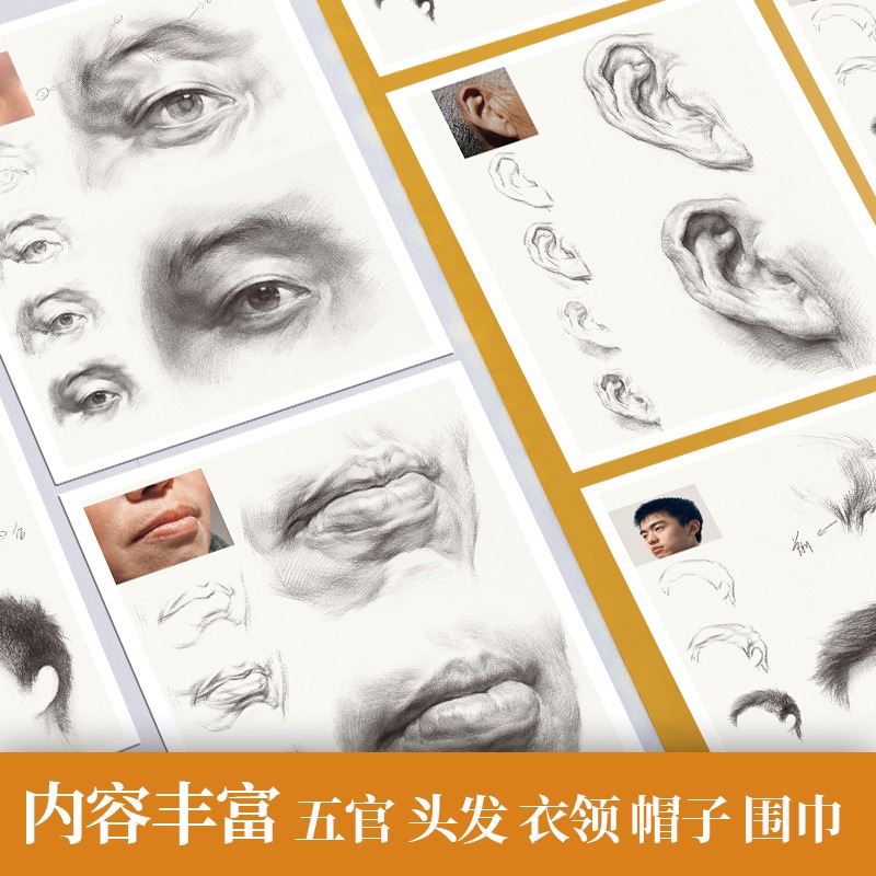 [正版]绘改变 2023素描头像五官临摹卡 8开 素描初学者入门零基础耳鼻嘴巴眼睛五官局部整体结构步骤动态高清8开高考高清大图
