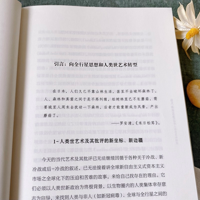 醉染图书论人类世艺术9787100224345高清大图