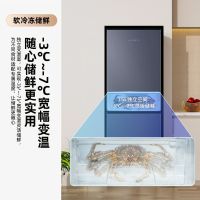 新飞(FRESTEC) 185升升双门小冰箱家用节能冰箱两门冷藏冷冻双开门小型电冰箱BCD-185K2AT