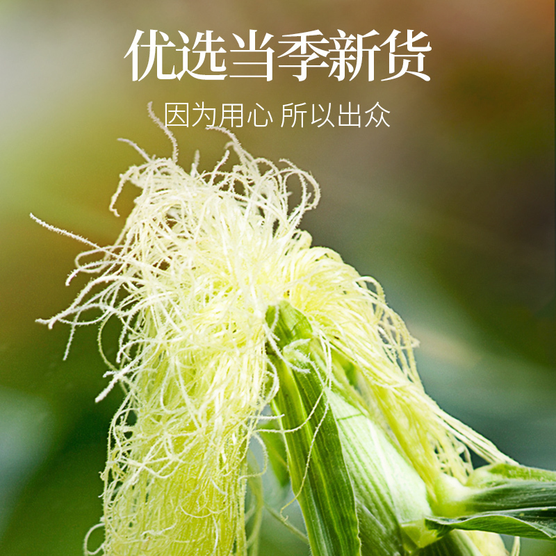 青源堂牌玉米须茶.100克*3