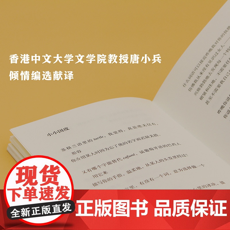 我深爱我们一起相处的这些夜晚:美国当代诗选(艺文志·诗)唐小兵编译美国当代诗歌上海文艺出版社 外国文学欧美诗歌集高清大图