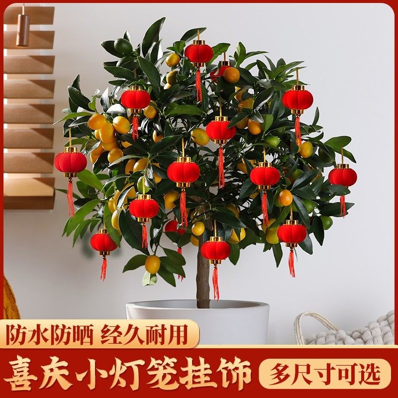 智美环球 灯笼新年大红植绒小灯笼小区树上装饰 30个 3#植绒喜庆小灯笼 平安喜乐高清大图