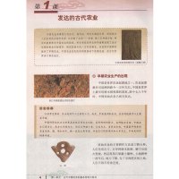 人教版高中历史必修2历史书 人民教育出版社 普通高中课程标准实验教科书历史2必修教材课本 高一历史2必修二人教版
