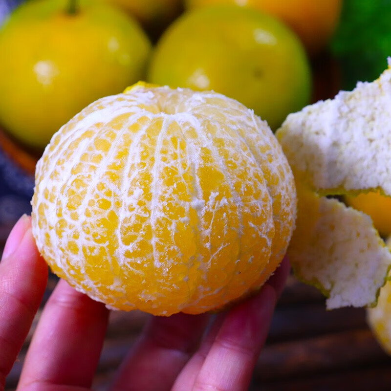 蜜桔和桔子营养一样吗能吃吗视频讲解(蜜桔和桔子营养一样吗能吃吗视频讲解一下)