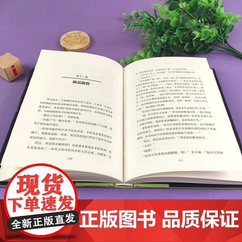 我的世界史蒂夫和爱丽克丝大冒险系列套装全12册 我的世界儿童编程思维益智游戏便携开本 冒险故事图画书6.末影之眼的预言高清大图