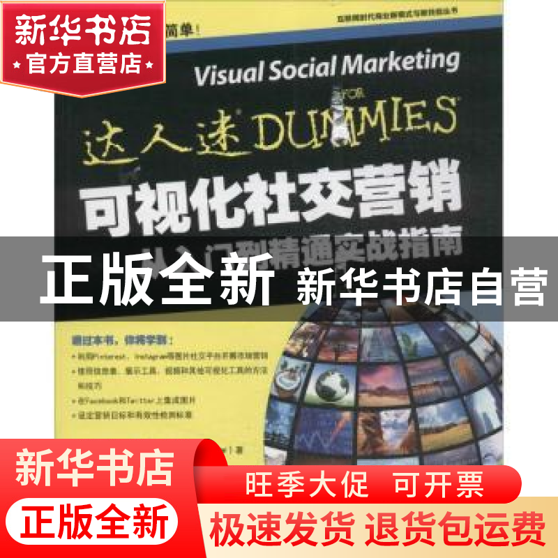 正版 可视化社交营销从入门到精通实战指南 【美】克丽丝塔·内尔 人