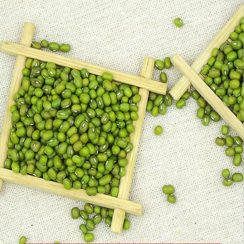 千禧渡绿豆 农家精选颗粒饱满 无杂质熬粥发豆芽杂粮豆高清大图