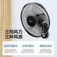 格力(GREE) 壁扇大风量壁挂式电风扇家用五叶挂壁扇摇头定时轻音办公室宿学校舍餐厅商铺电扇 FB-4006B 遥控款