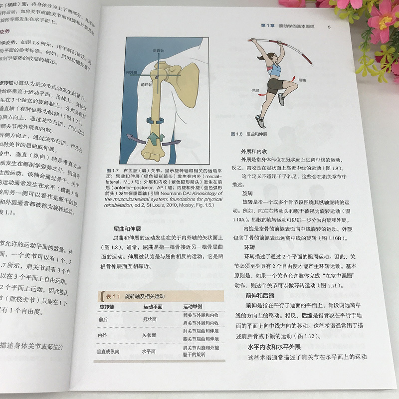 粉象优品基础肌动学第3版保罗杰克逊曼斯菲尔德肌肉骨骼系统的结构和