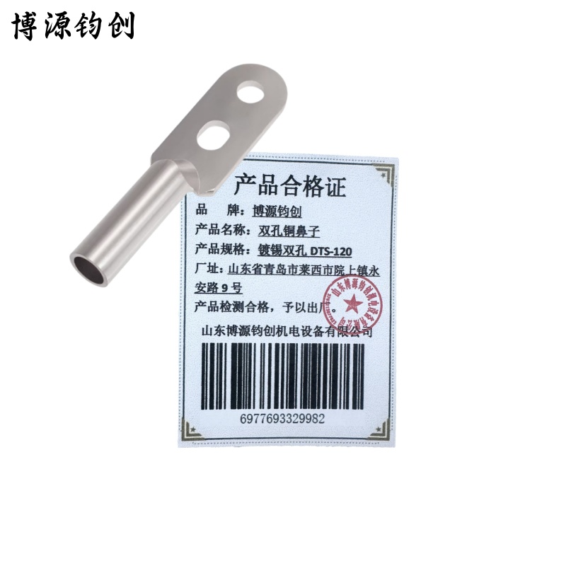 博源钧创 双孔铜鼻子 镀锡双孔DTS-120 个高清大图