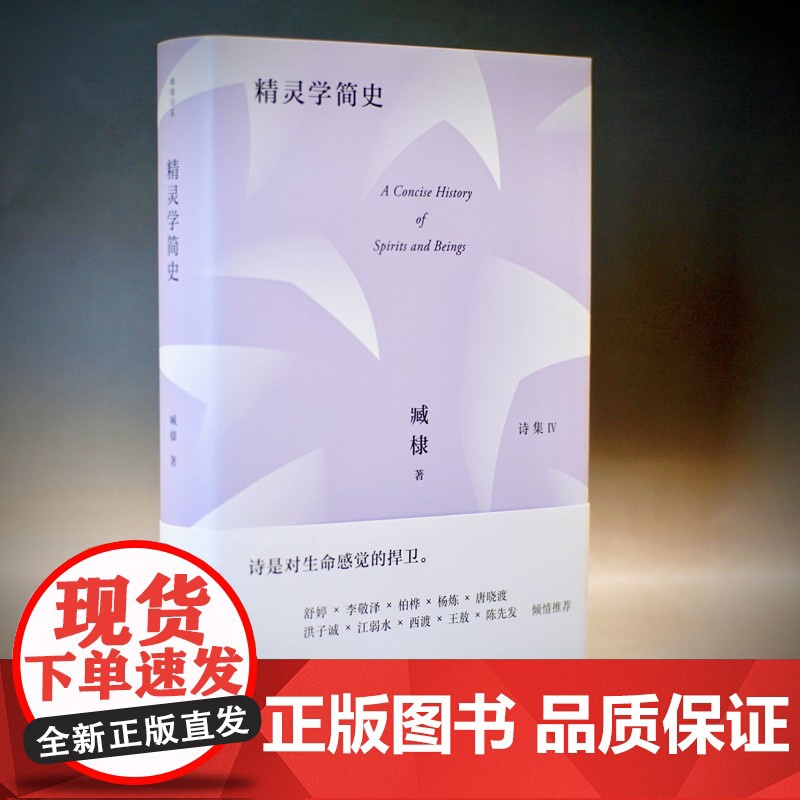 臧棣诗系 精灵学简史 臧棣 著 文学高清大图