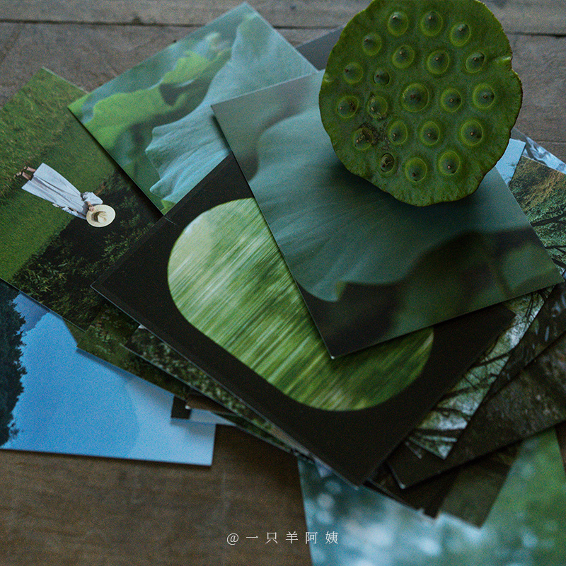 [正版]知否知否 摄影师@一只羊阿姨28张摄影作品 大自然中绿色系景象和事物 出类艺术明信片创意唯美风景文艺小清新贺卡高清大图