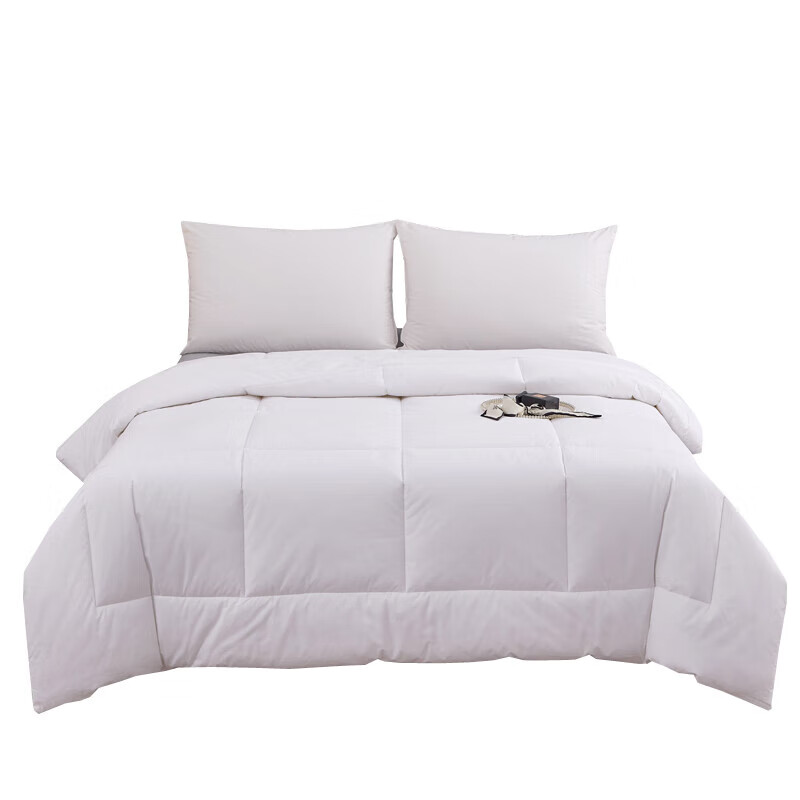 汉司家纺 HANSI-52 全棉防羽布 160*220cm 四季通用被芯 被子 1.00 件/条 (计价单位:条)白色高清大图