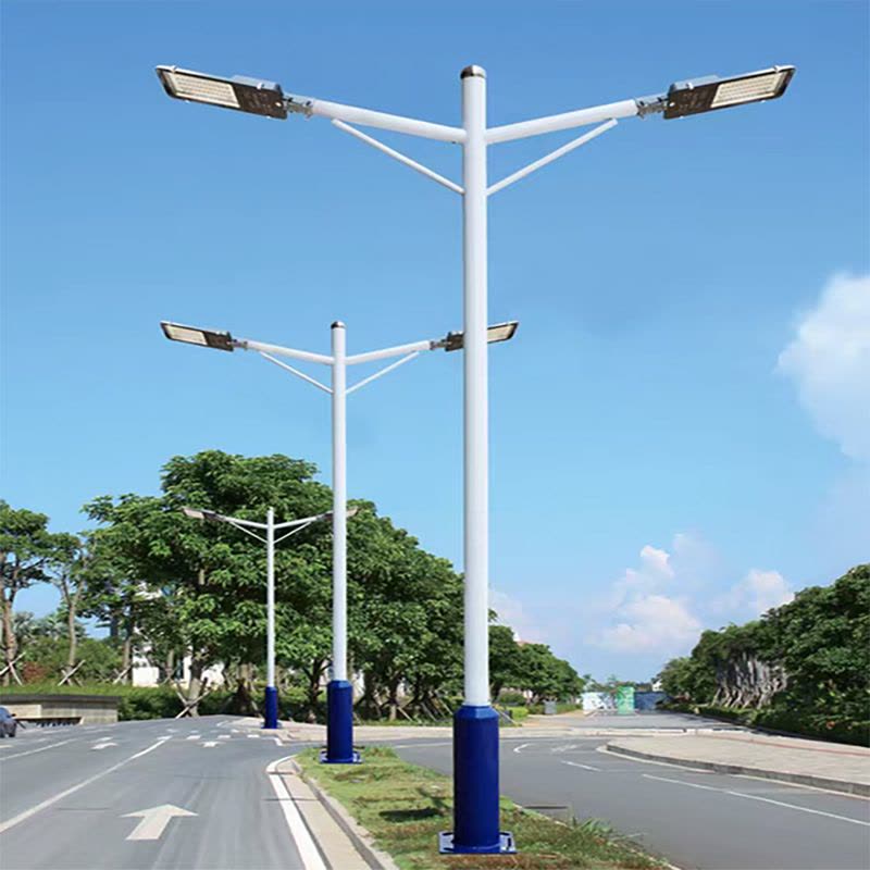 亮思能 LED路灯 市电路灯 双头路灯(含灯杆) LSN-MAQ 盏图片