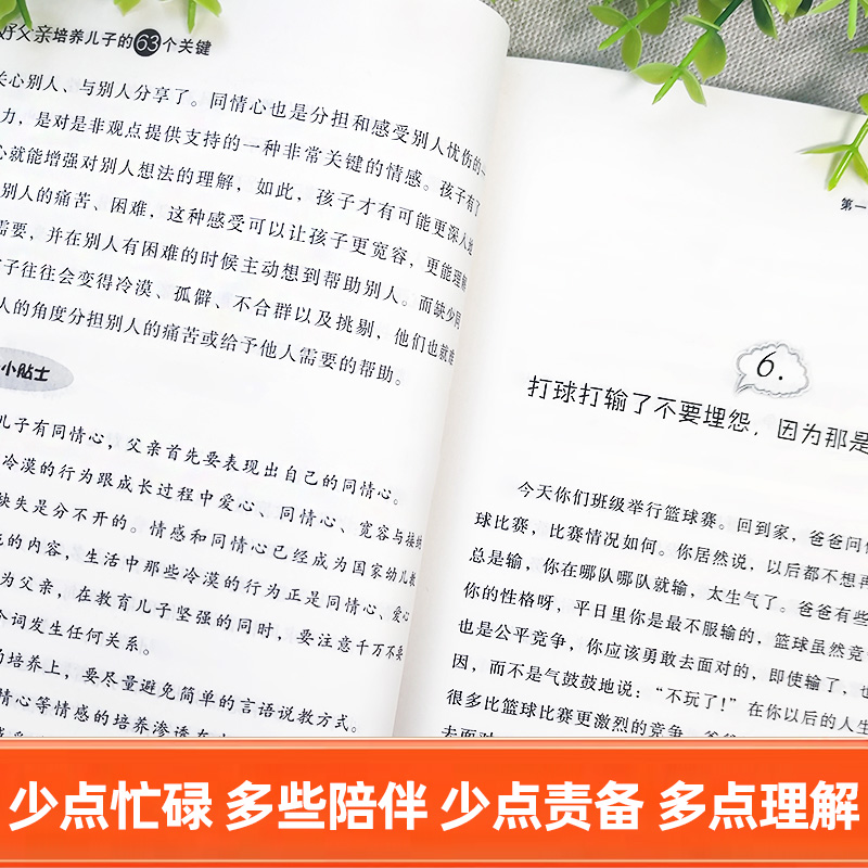 好父亲培养儿子的63个关键 [正版]好父亲培养儿子的63个关键父母家庭教育养育男孩正面管教爸爸培养高情商男孩技巧品德修养高清大图