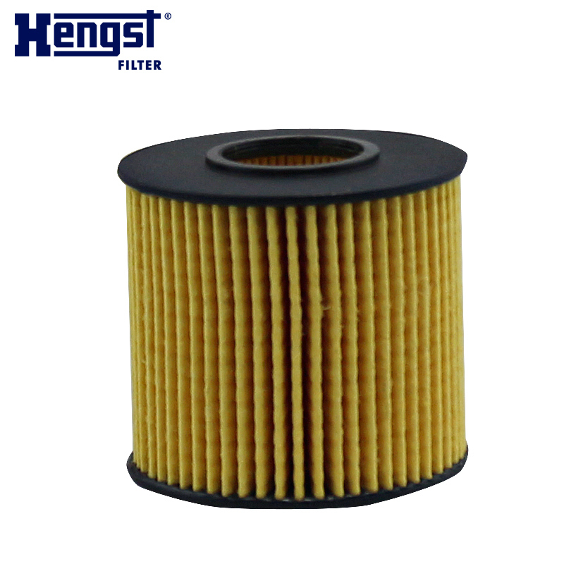汉格斯特(hengst)机油格滤清器纸芯E1024H D234适用于汉兰达RAV4凯美瑞 ES/GS/LS