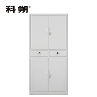 科朔 文件柜铁皮柜资料柜办公室柜子档案柜 铁中二斗文件柜 KS-G036