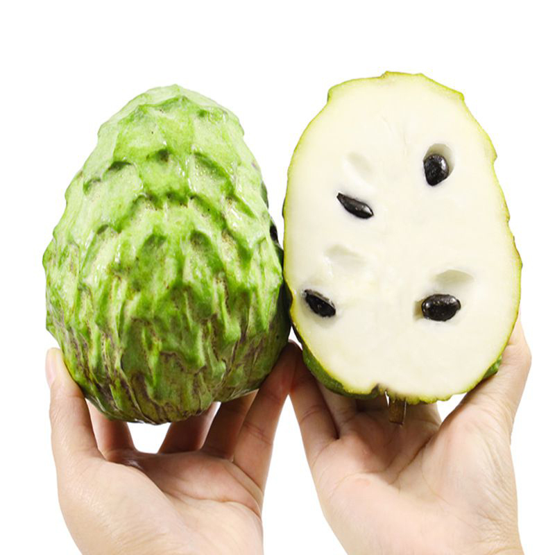 [西沛生鲜]新鲜释迦果 净重5斤 中果 单果100-200g 精选释迦果 牛奶释迦番荔枝高清大图