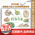 探秘鸟巢（儿童科普 探秘35种鸟类巢穴，开启自然科学启蒙之旅）天地地