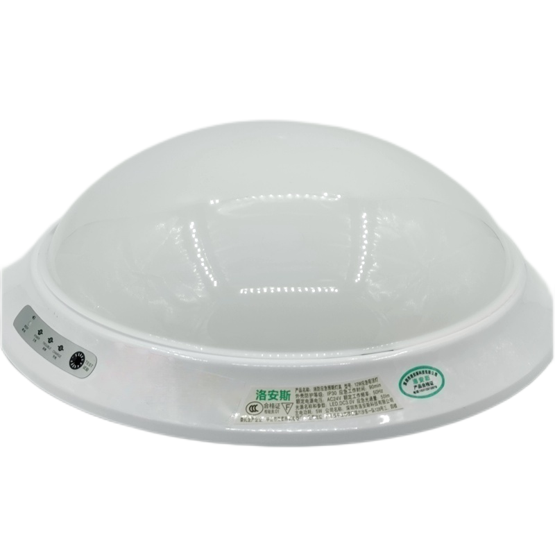洛安斯 LED应急吸顶灯 12W 个高清大图