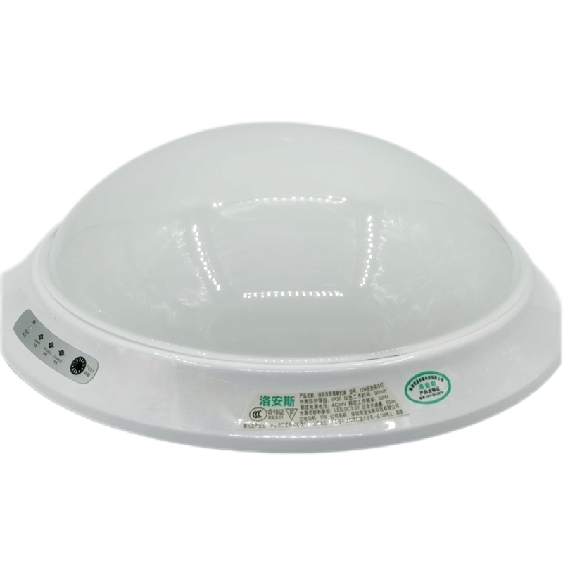 洛安斯 LED应急吸顶灯 12W 个图片