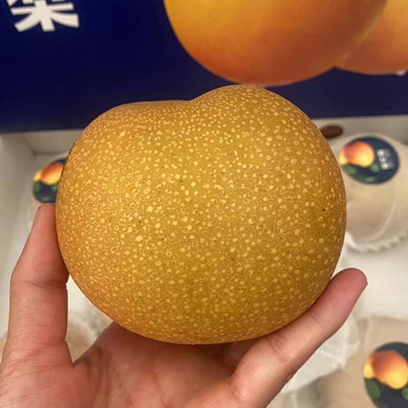 秋月梨水果礼盒6-7斤,6-8个高清大图