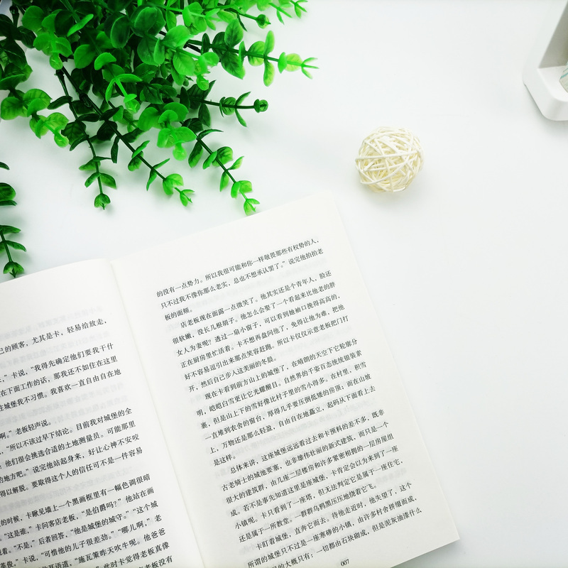 [正版]卡夫卡精选集全集3册 变形记+审判+城堡 卡夫卡中短篇小说全集 海边的卡夫卡外国小说文学 经典世界名著学校课外