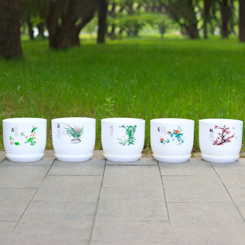 加大加厚pp树脂环保塑料花盆大号绿萝碗莲睡莲荷花无孔水培花盆|兰花盆【有孔】 大号两个装【营养液+碗莲种】