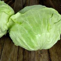 【拍2份9折】10斤现摘新鲜卷心菜绿甘蓝蔬菜椰菜大头菜扁包菜小卷芯菜新鲜蔬菜