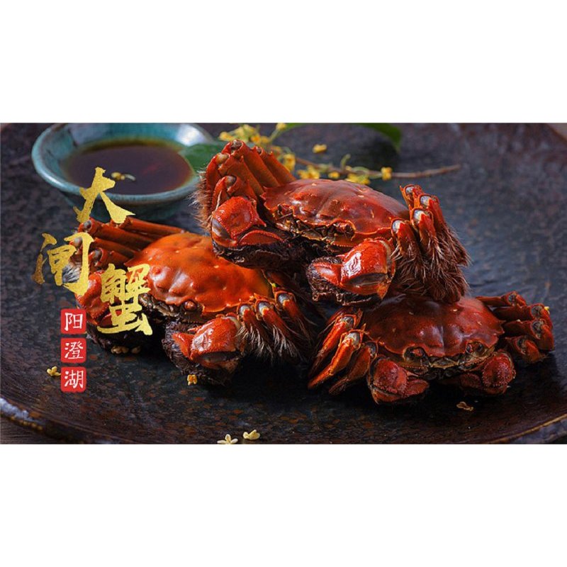 名蟹汇 大闸蟹 精装E款 公蟹:4.1两/4只、母蟹:2.8两/4只