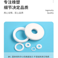 四氟垫片DN25/