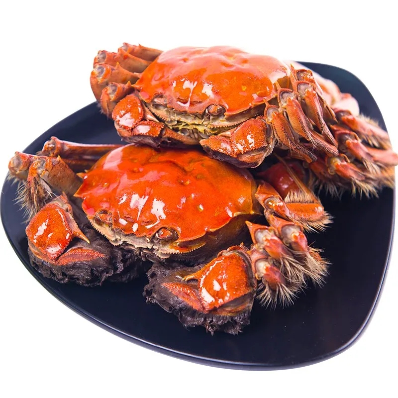 礼券 蟹园阳澄湖大闸蟹天玺2688型 公蟹5.0两/只 母蟹3.5两/只 4对8只装 大闸蟹券