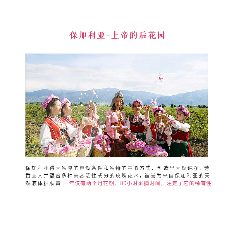 大马士革玫瑰花水喷雾