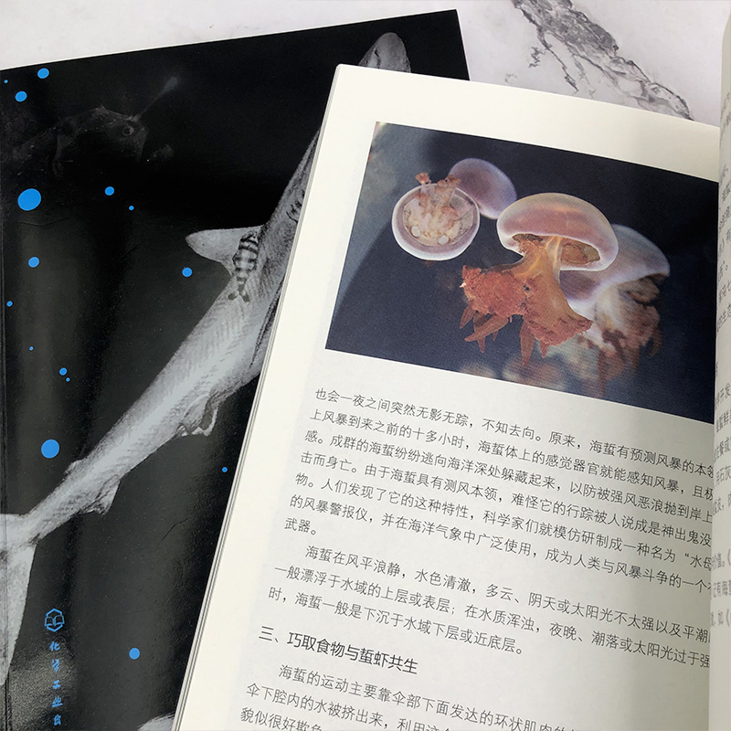 [醉染正版]南海诸岛海洋生物奇趣 宋盛宪 南海珊湖礁鱼类贝类棘皮动物爬行动物海洋动植物科普书籍 中小学生课外读物海洋生高清大图