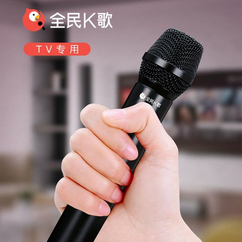 得胜(TAKSTAR)TV-001智能电视无线麦克风TV版专用话筒全民k歌家庭影院ktv 适配海信创维tcl电视KTV无图片