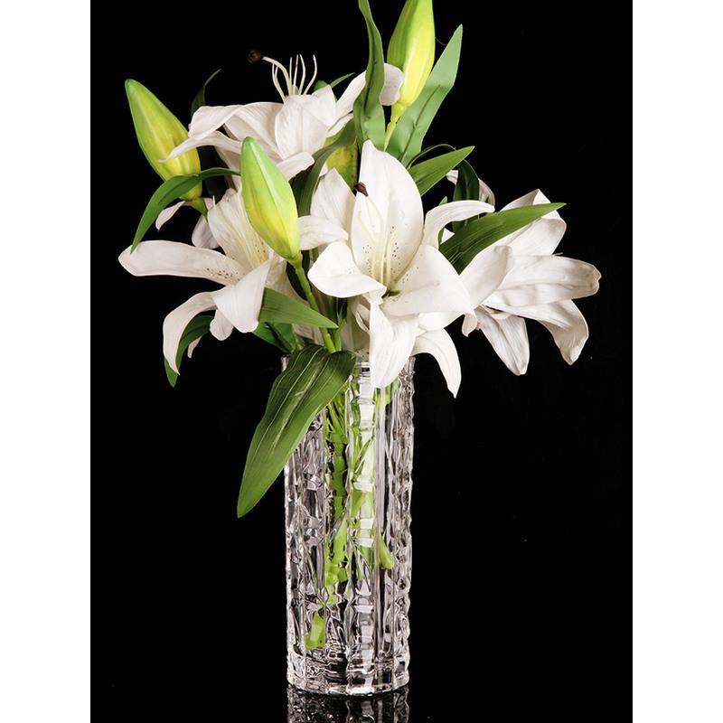 富贵竹花瓶水晶玻璃透明网红摆件客厅插花百合水培养北欧创意简约fenghou 25cm冰霜 买1送1 图片 高清实拍大图 苏宁易购