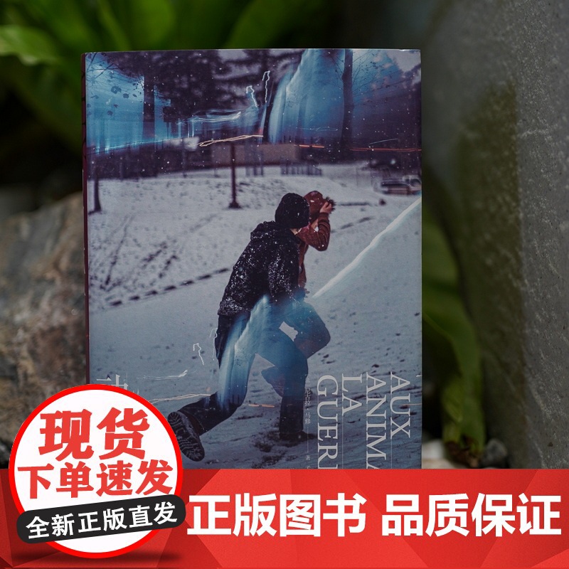 他们之后的孩子/动物战争 龚古尔文学奖得主尼古拉马修获推理批评奖法国当代左拉上海译文出版社外国小说文学作品 另著皇家玫瑰高清大图