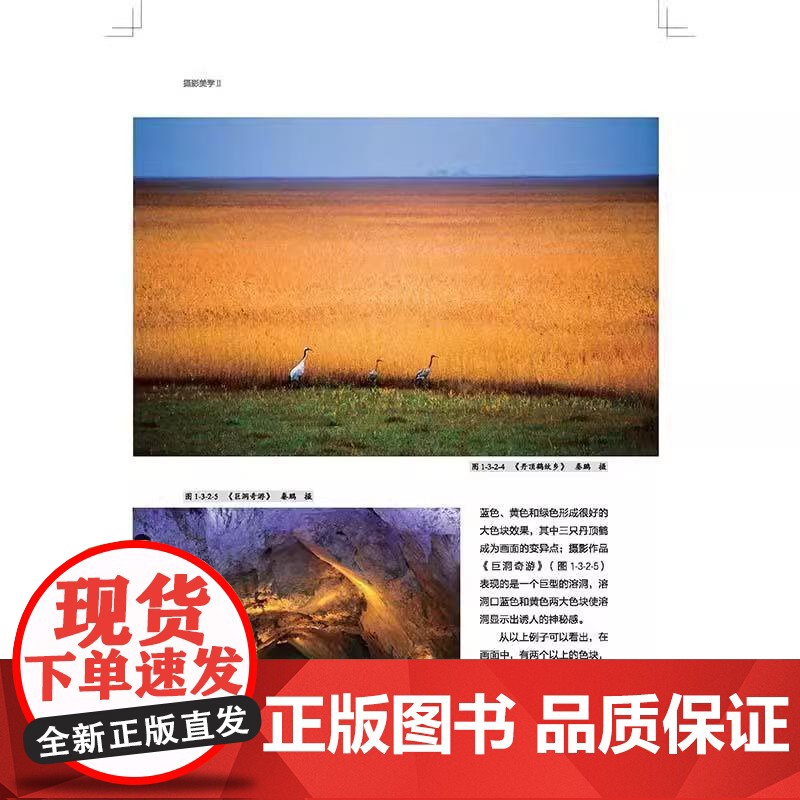 摄影美学 2 秦大唐,秦鹏 全方位解析摄影技巧 高效提升摄影美学素养 从美学回看摄影 以艺术关照技术 北京大学出版社高清大图