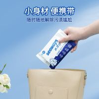 水卫仕(SHUIWEISHI) 湿巾羽绒服适用-12片
