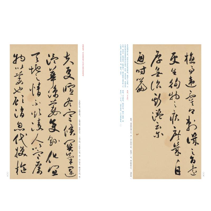 醉染图书祝允明草书蚕衣卷9787547930861高清大图
