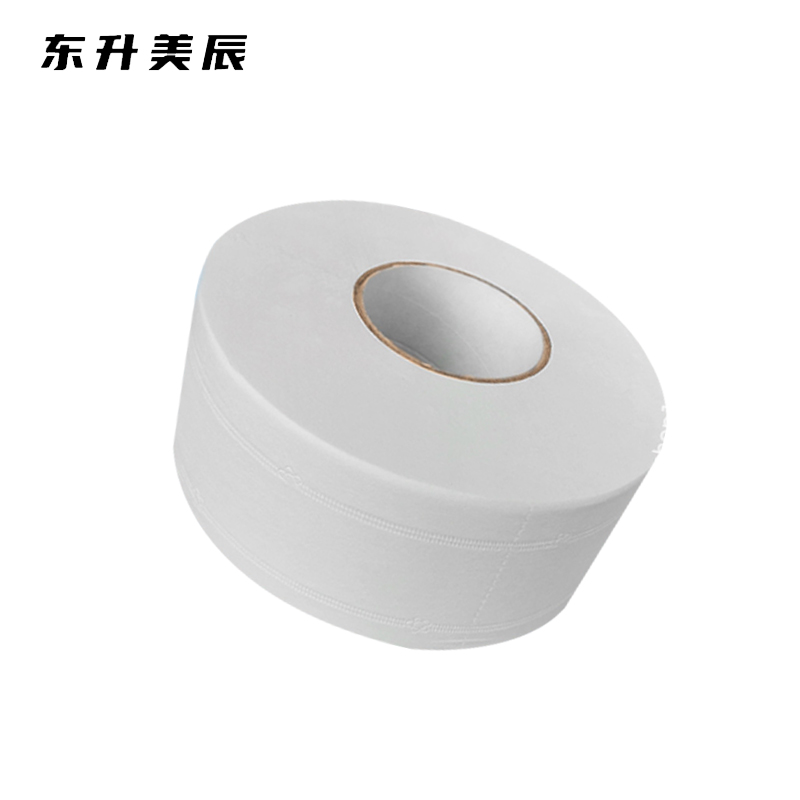 东升美辰 大盘纸450g5层12卷 DS-BH194 箱高清大图
